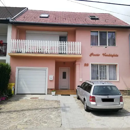 Pinter Vendeghaz Guest house *